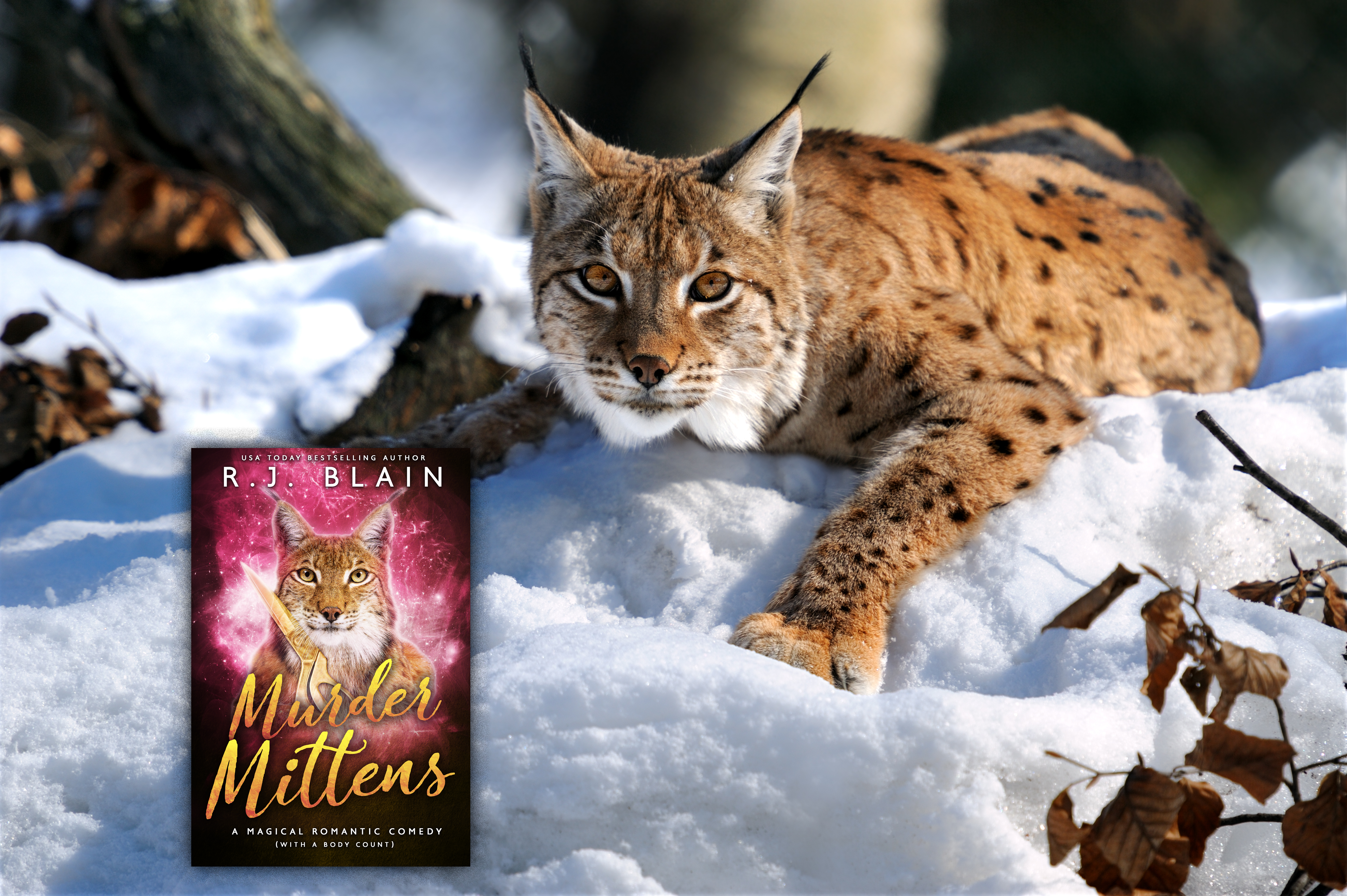 Happy holidays! Murder Mittens is now out in the wilds.