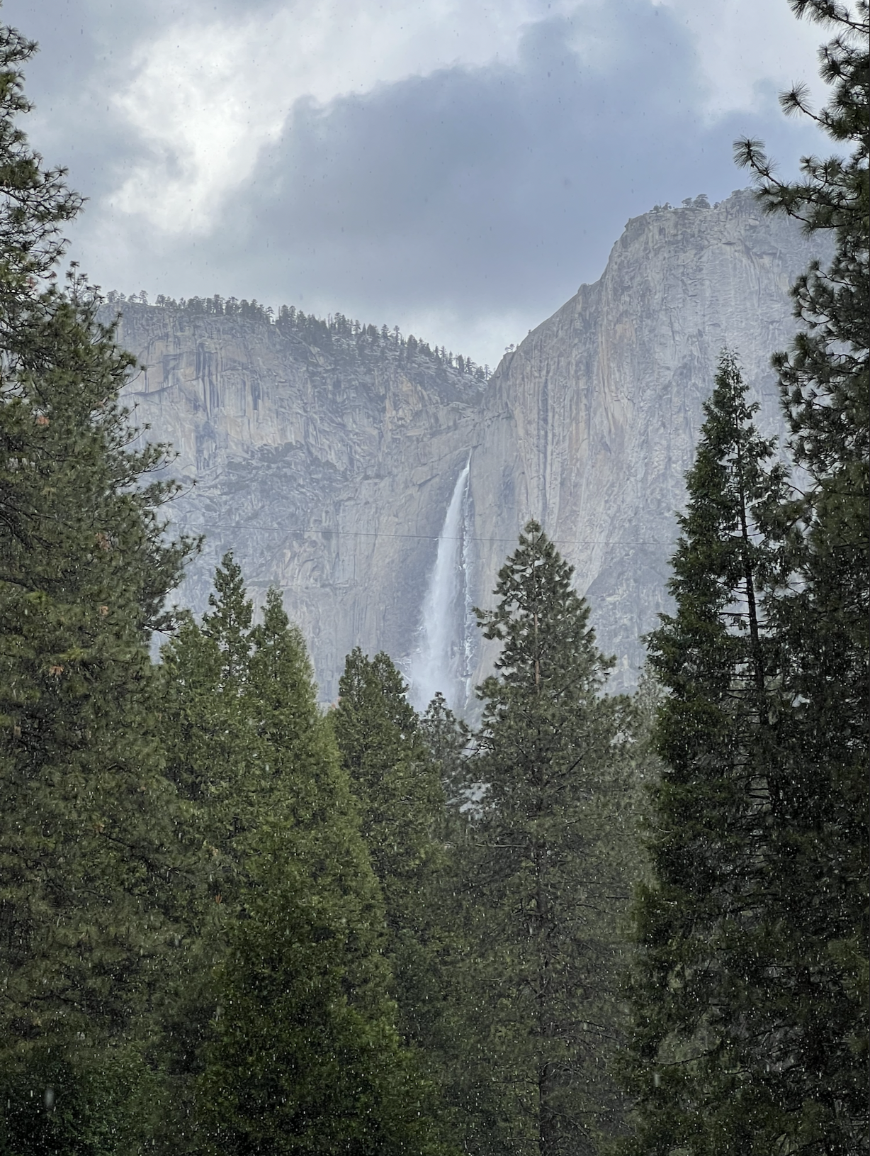 I went to Yosemite!